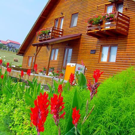 Casa Altius Felix Leilighet Băile Felix Eksteriør bilde